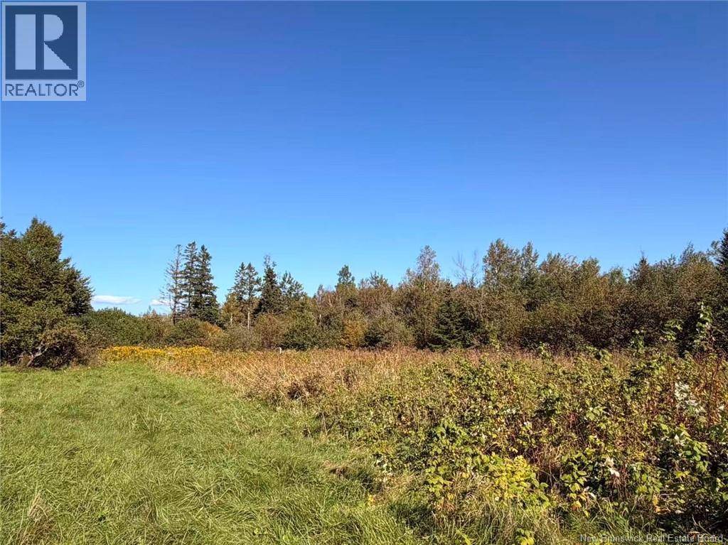266 Murray Road, Little Shemogue, New Brunswick  E4M 3P3 - Photo 17 - NB146088