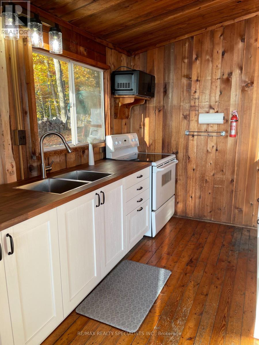 Lot 42 Snake Island Road, Georgina Islands, Ontario  L4P 3E9 - Photo 26 - N13790996