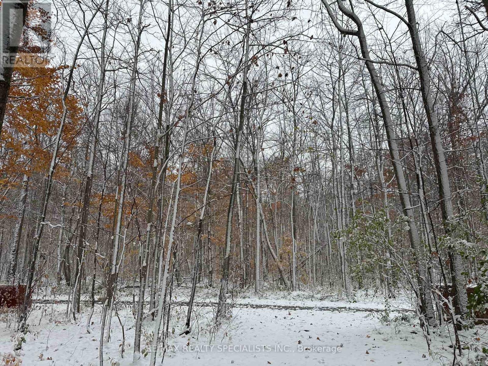 Lot 42 Snake Island Road, Georgina Islands, Ontario  L4P 3E9 - Photo 44 - N13790996