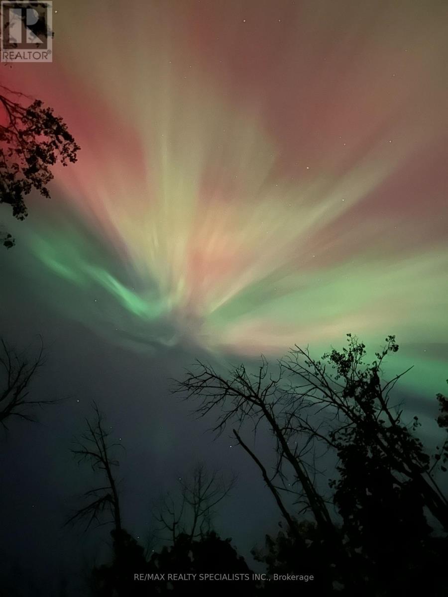 Lot 42 Snake Island Road, Georgina Islands, Ontario  L4P 3E9 - Photo 47 - N13790996