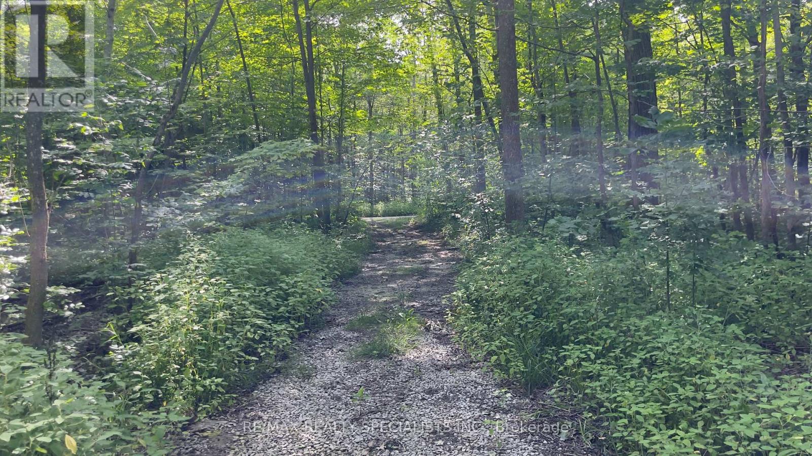 Lot 42 Snake Island Road, Georgina Islands, Ontario  L4P 3E9 - Photo 50 - N13790996