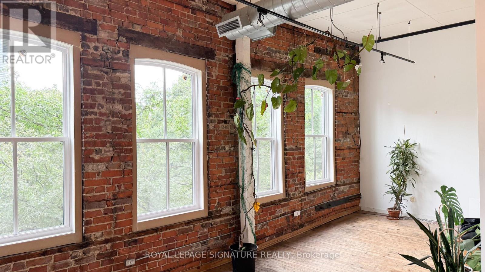 309 - 132 Adelaide Street E, Toronto, Ontario M5C 1K9 - Photo 2 - C13791100