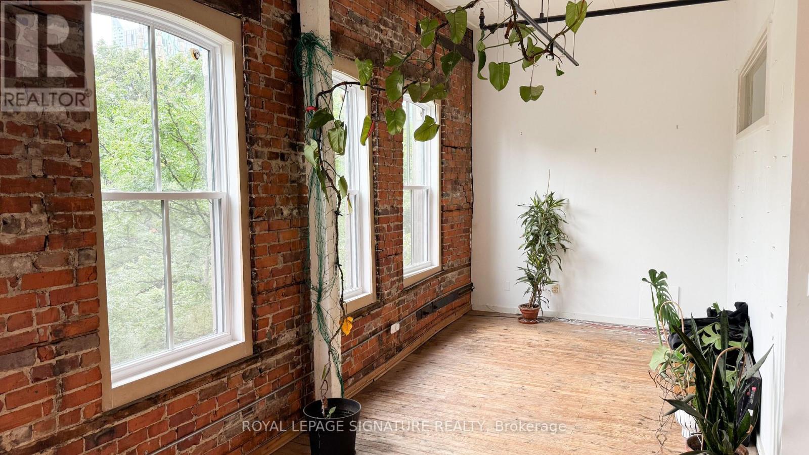 309 - 132 Adelaide Street E, Toronto, Ontario M5C 1K9 - Photo 3 - C13791100