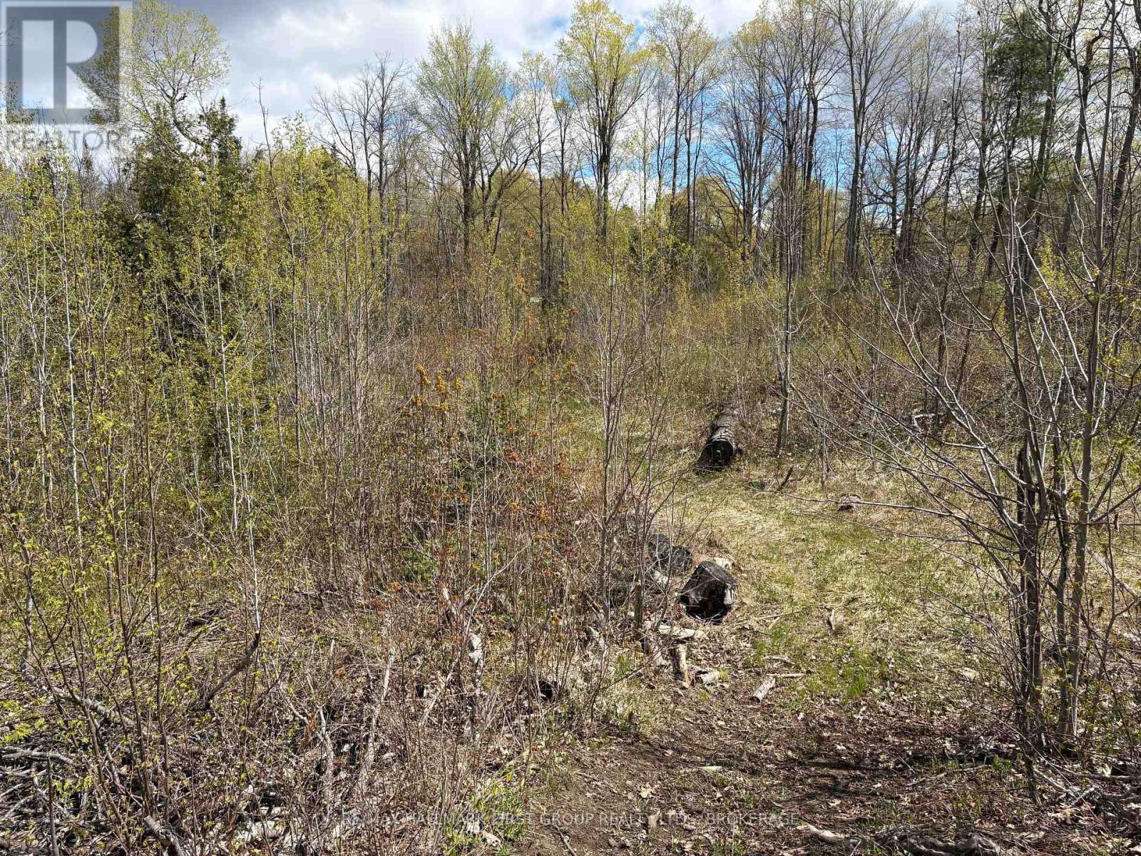 Lot 0 County Road 38, Frontenac, Ontario  K0H 2P0 - Photo 10 - X13791424