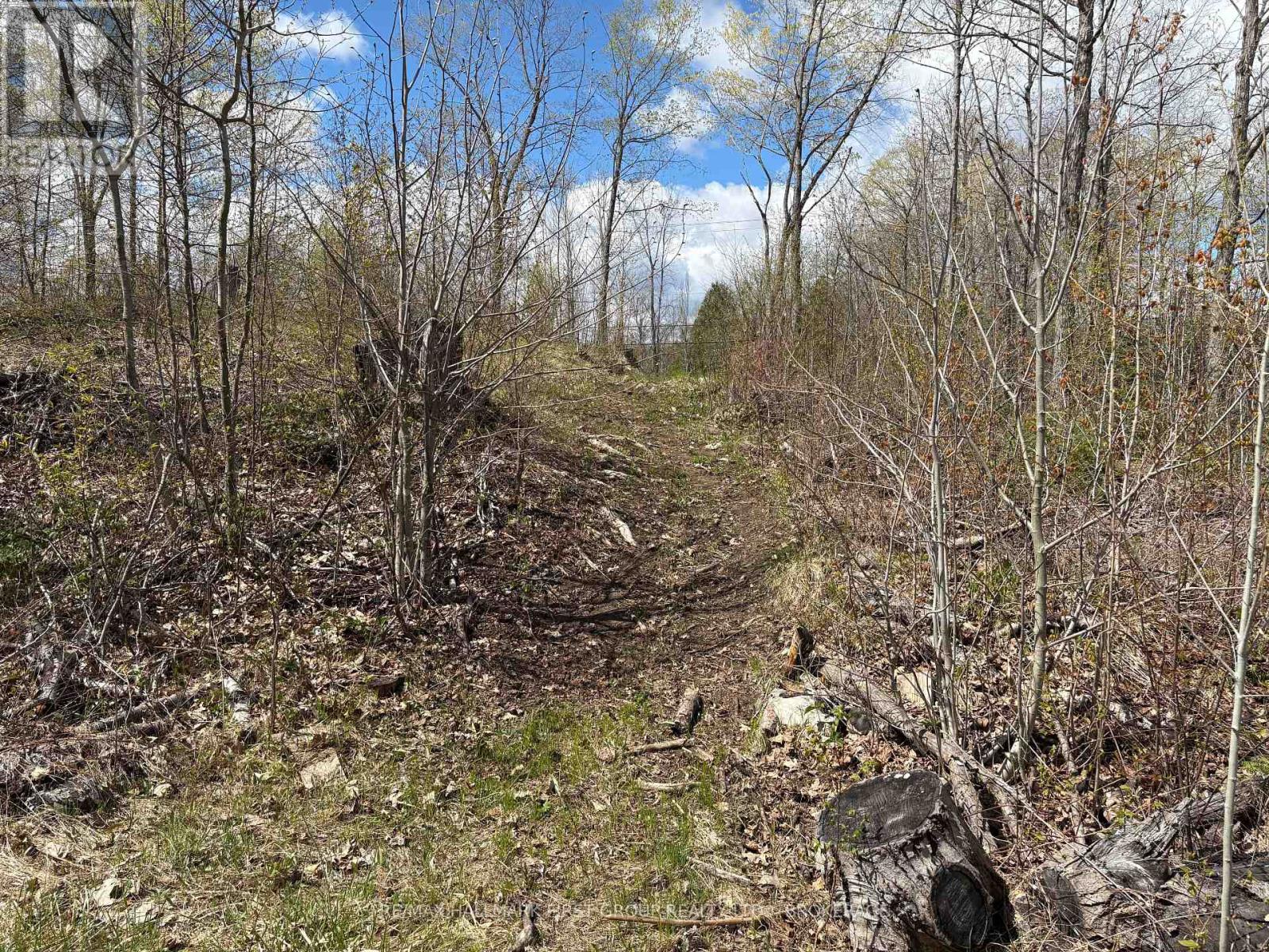 Lot 0 County Road 38, Frontenac, Ontario  K0H 2P0 - Photo 11 - X13791424