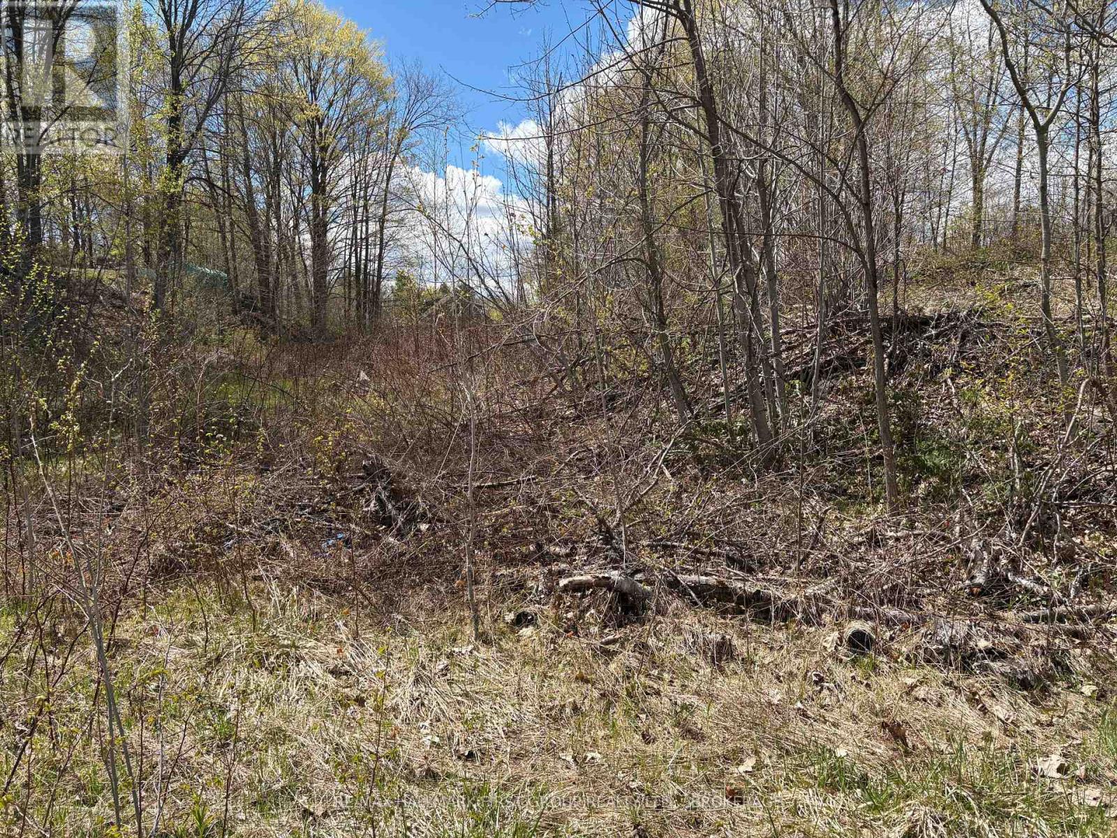 Lot 0 County Road 38, Frontenac, Ontario  K0H 2P0 - Photo 12 - X13791424
