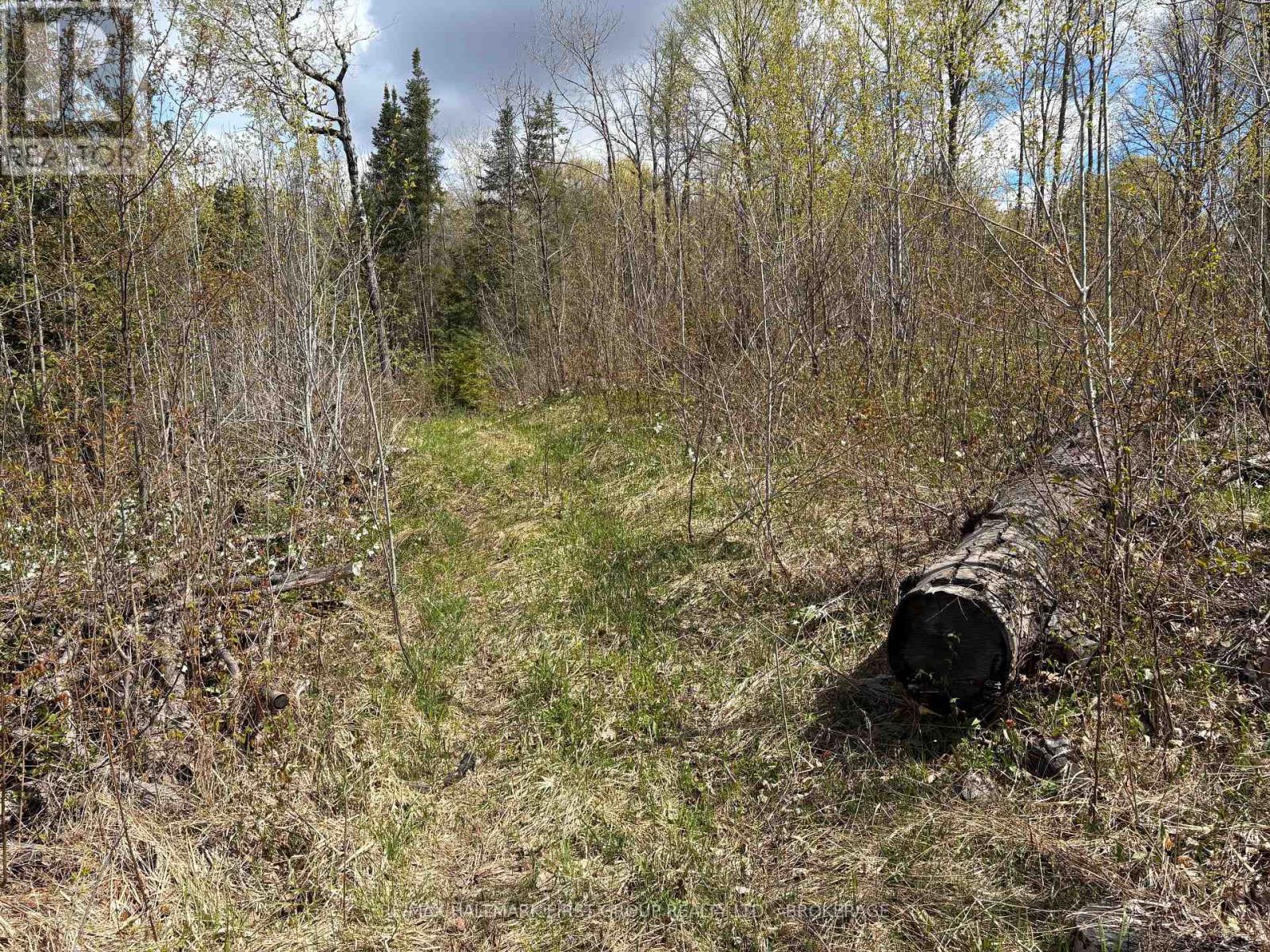 Lot 0 County Road 38, Frontenac, Ontario  K0H 2P0 - Photo 13 - X13791424