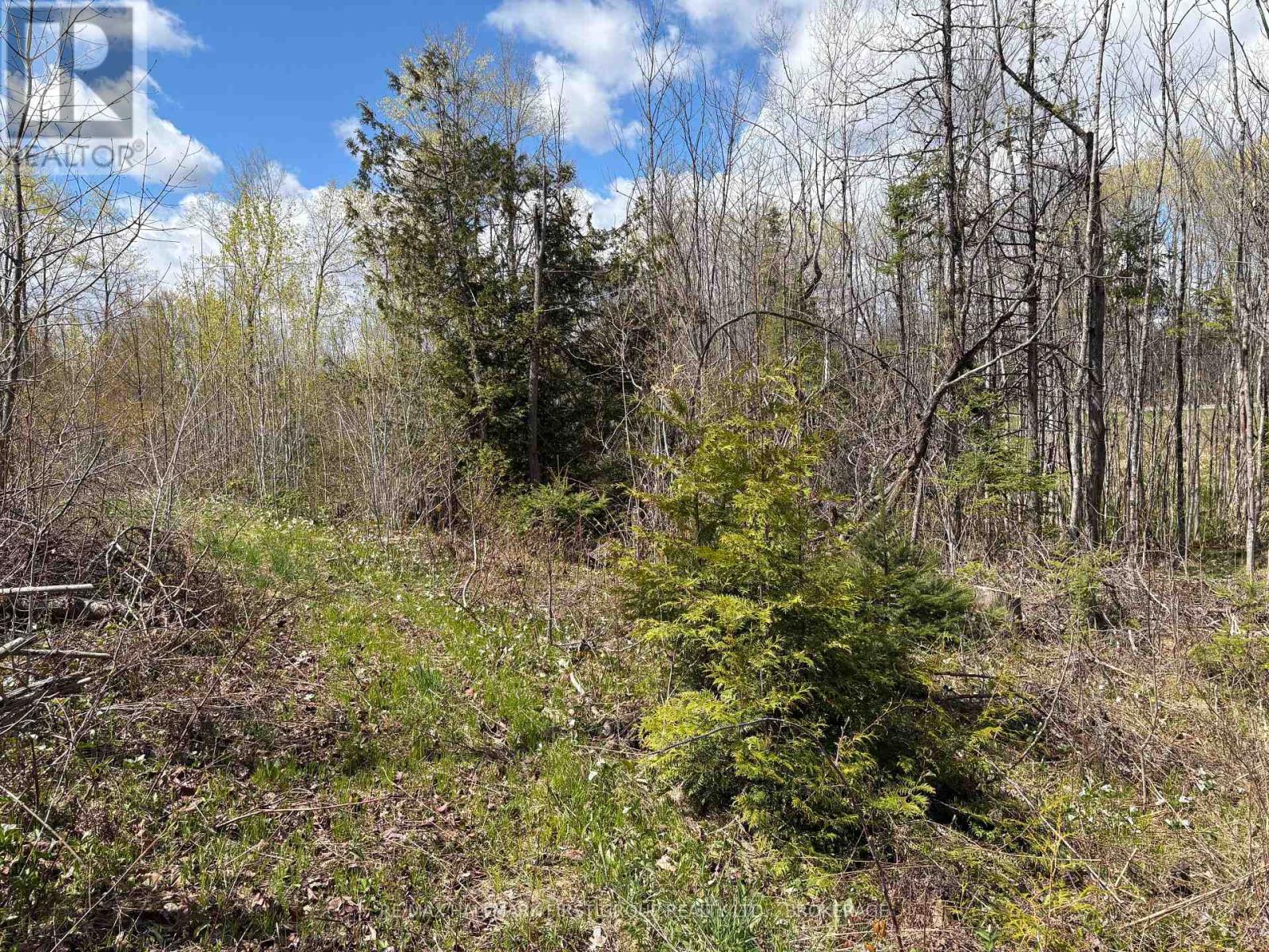 Lot 0 County Road 38, Frontenac, Ontario  K0H 2P0 - Photo 15 - X13791424