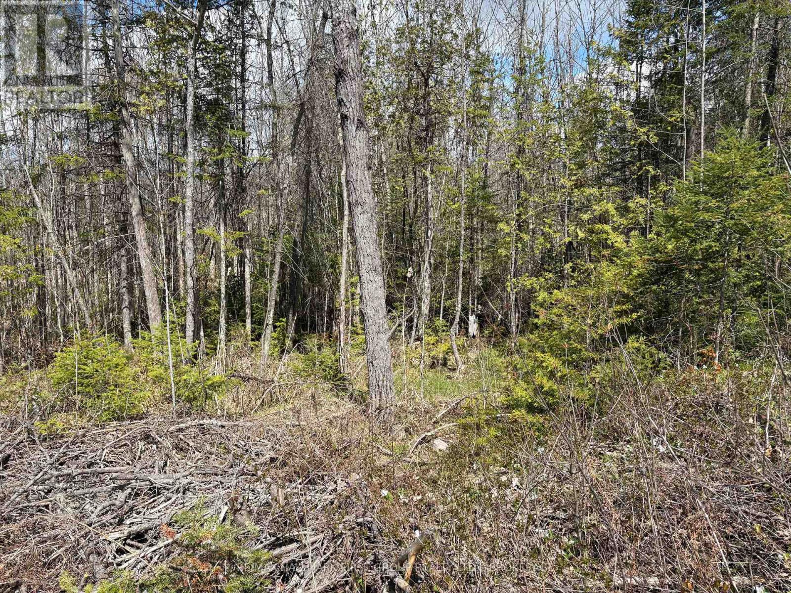 Lot 0 County Road 38, Frontenac, Ontario  K0H 2P0 - Photo 16 - X13791424