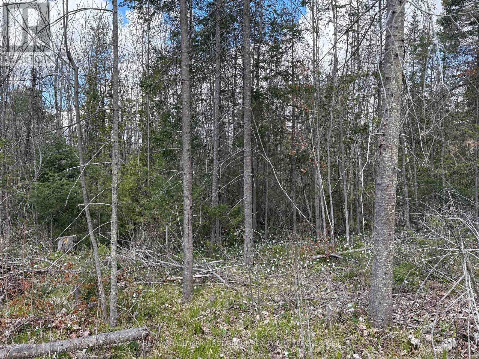 Lot 0 County Road 38, Frontenac, Ontario  K0H 2P0 - Photo 17 - X13791424