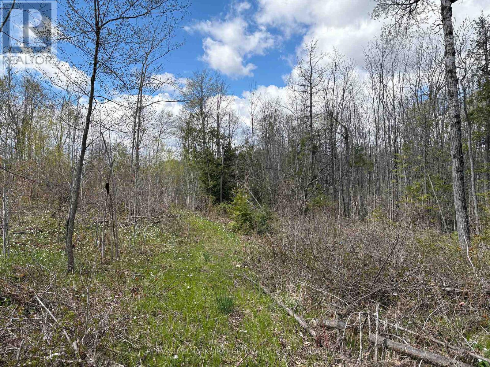 Lot 0 County Road 38, Frontenac, Ontario  K0H 2P0 - Photo 18 - X13791424