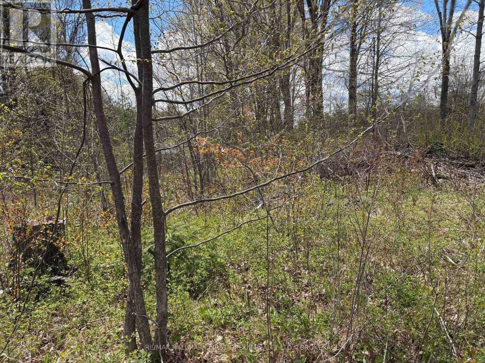 Lot 0 County Road 38, Frontenac, Ontario  K0H 2P0 - Photo 19 - X13791424