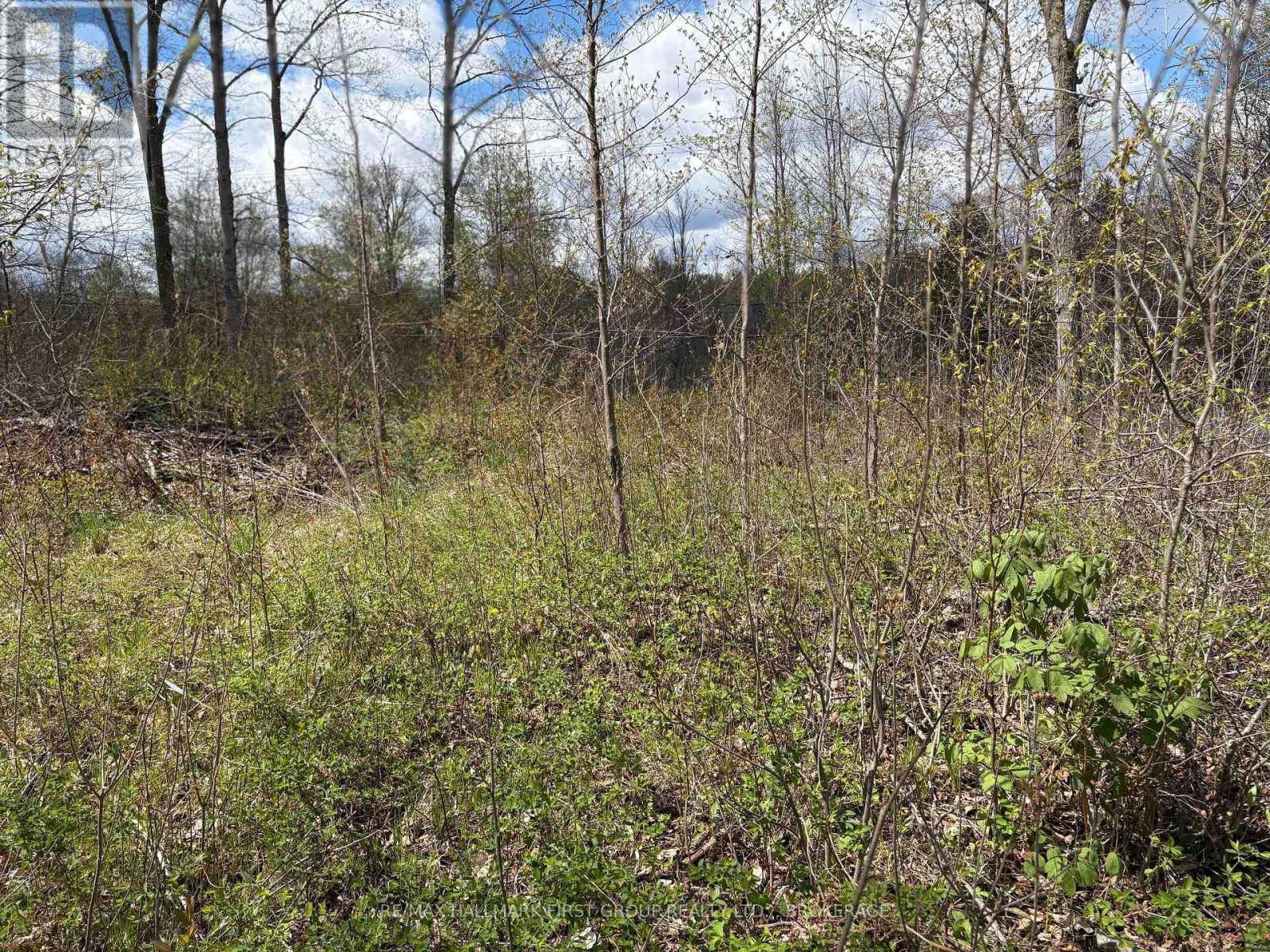 Lot 0 County Road 38, Frontenac, Ontario  K0H 2P0 - Photo 20 - X13791424