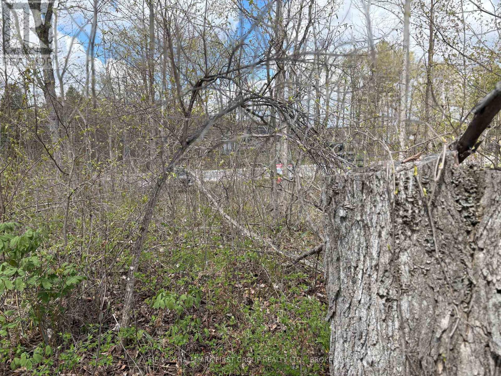 Lot 0 County Road 38, Frontenac, Ontario  K0H 2P0 - Photo 21 - X13791424