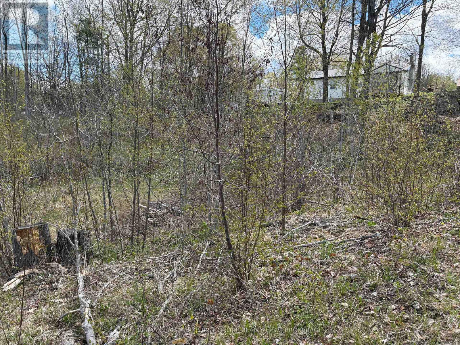 Lot 0 County Road 38, Frontenac, Ontario  K0H 2P0 - Photo 22 - X13791424