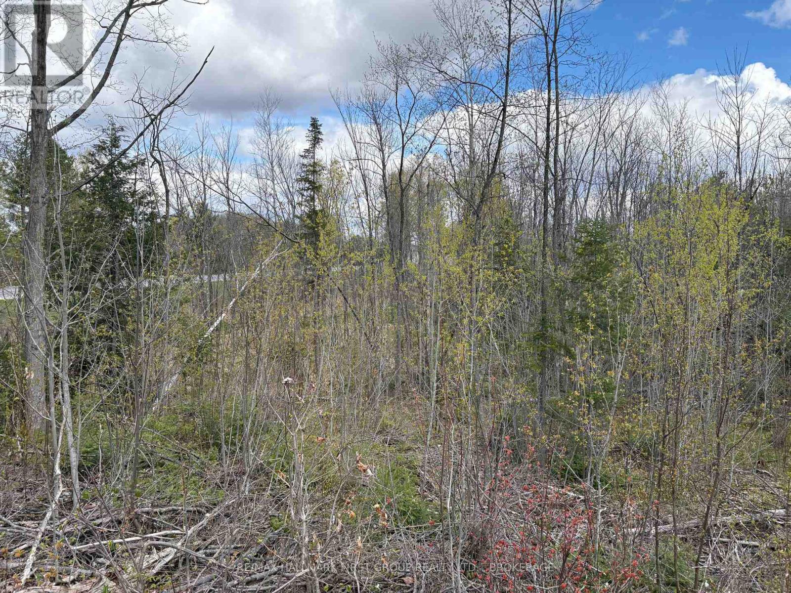 Lot 0 County Road 38, Frontenac, Ontario  K0H 2P0 - Photo 24 - X13791424