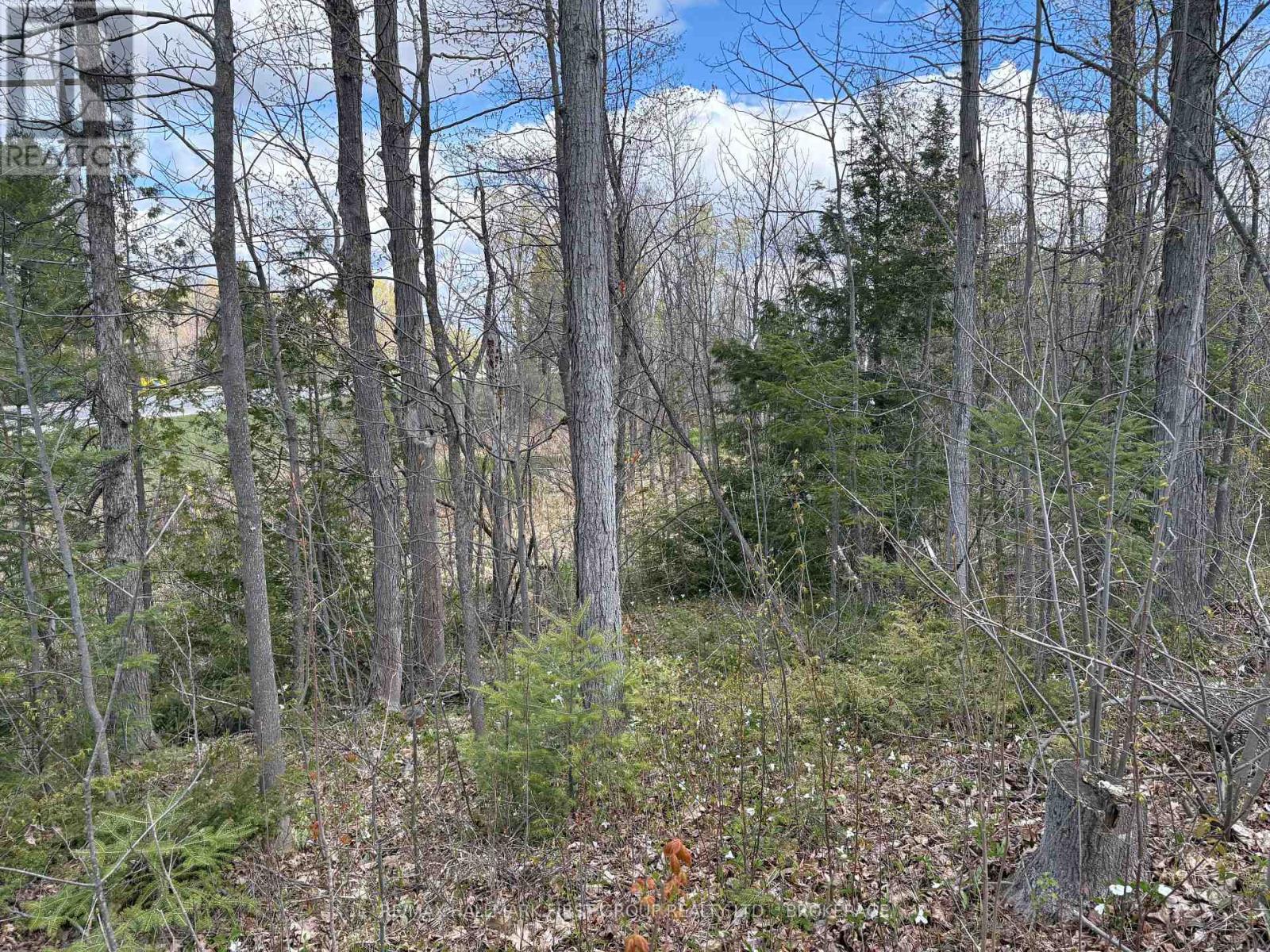 Lot 0 County Road 38, Frontenac, Ontario  K0H 2P0 - Photo 25 - X13791424