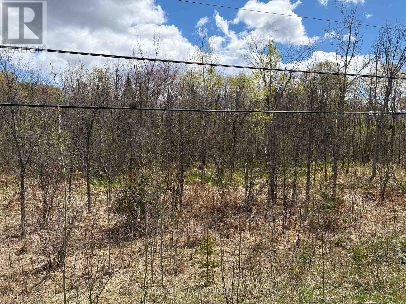 Lot 0 County Road 38, Frontenac, Ontario  K0H 2P0 - Photo 33 - X13791424