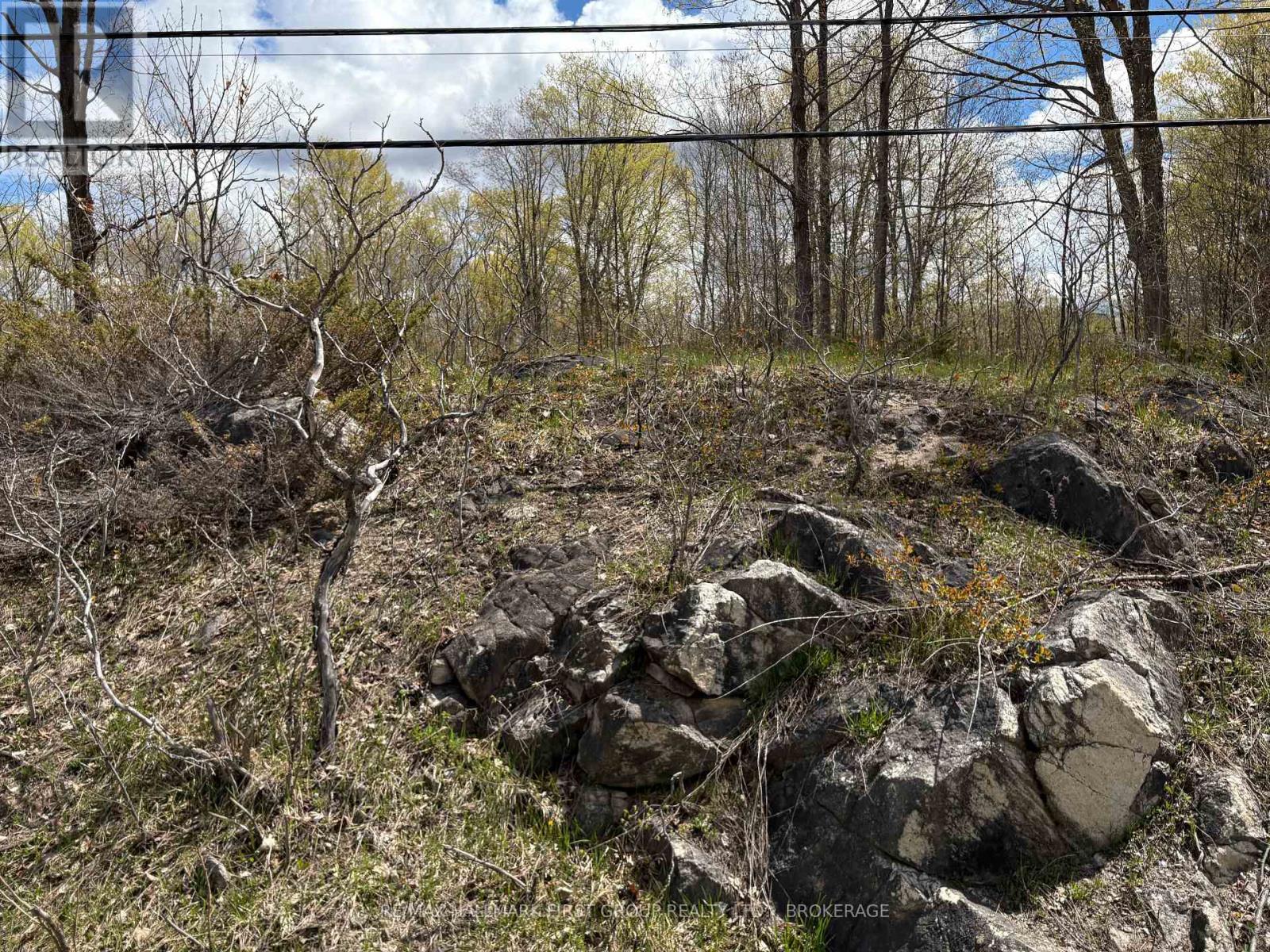 Lot 0 County Road 38, Frontenac, Ontario  K0H 2P0 - Photo 37 - X13791424