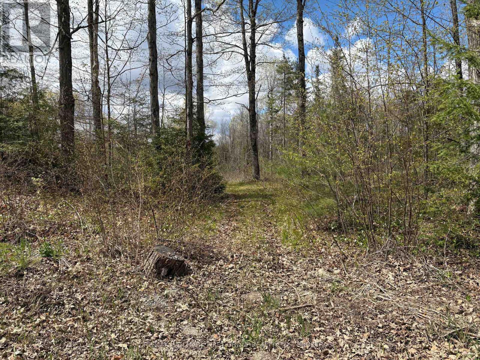 Lot 0 County Road 38, Frontenac, Ontario  K0H 2P0 - Photo 39 - X13791424