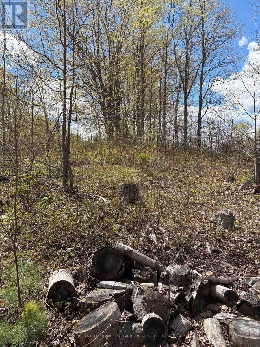 Lot 0 County Road 38, Frontenac, Ontario  K0H 2P0 - Photo 40 - X13791424