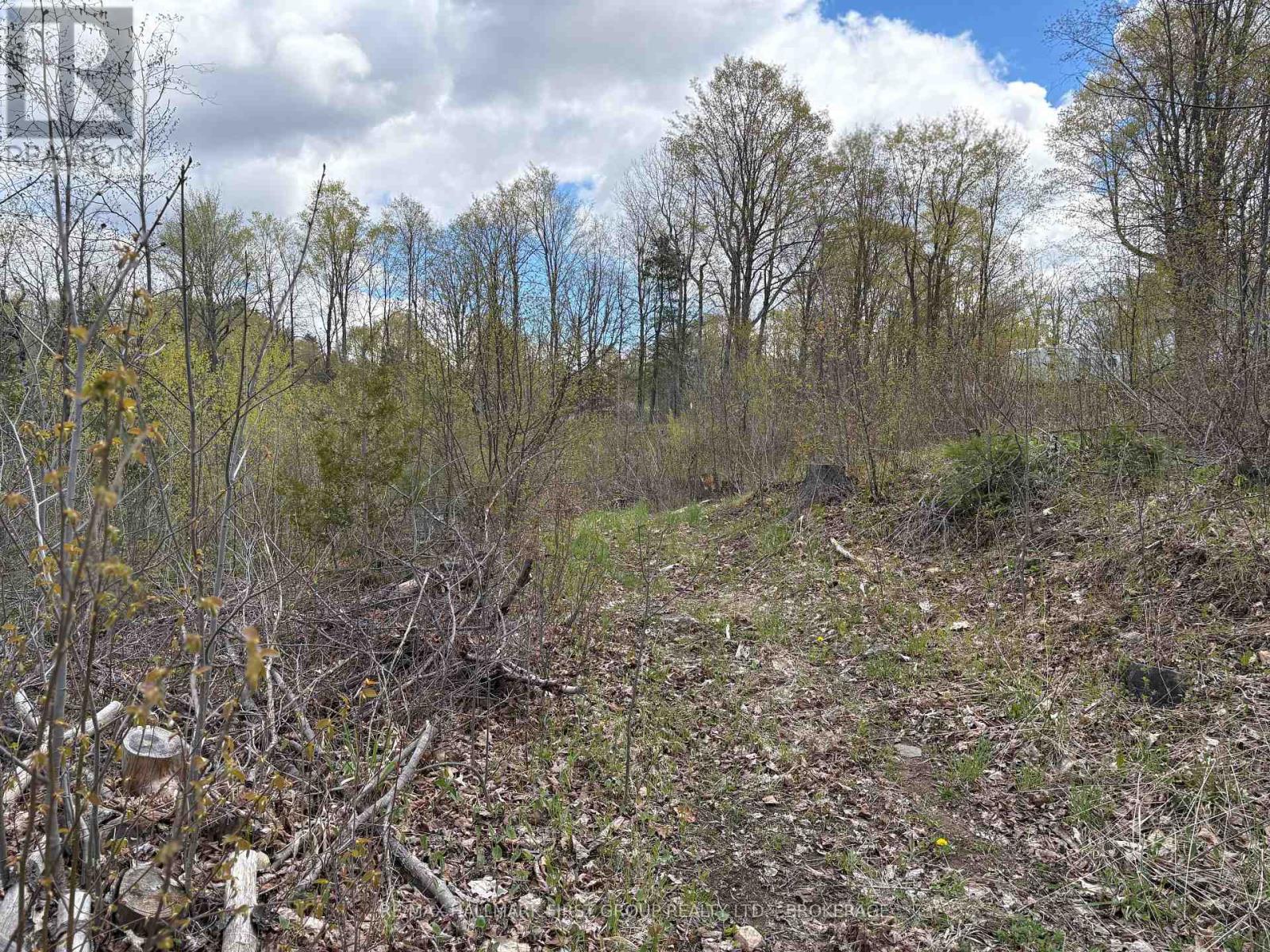 Lot 0 County Road 38, Frontenac, Ontario  K0H 2P0 - Photo 8 - X13791424