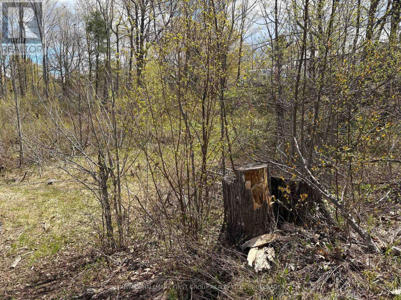 Lot 0 County Road 38, Frontenac, Ontario  K0H 2P0 - Photo 9 - X13791424