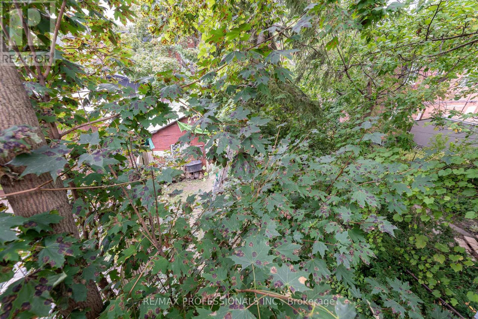 181 Garden Avenue, Toronto, Ontario  M6R 1H8 - Photo 20 - W13791452