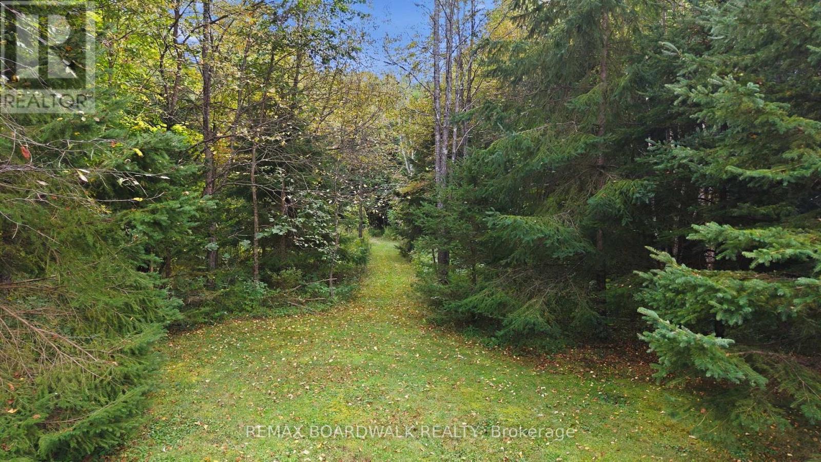 6043 511 Highway, Lanark Highlands, Ontario  K0G 1K0 - Photo 27 - X13791672