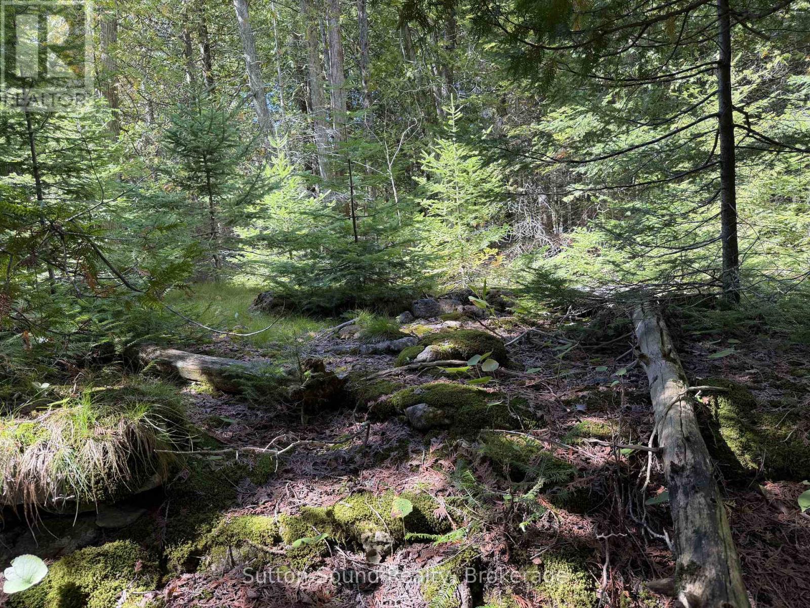Pt Lt35 Con 3 Wbr Pt 77 Concession, Northern Bruce Peninsula, Ontario  N0H 1W0 - Photo 10 - X13019452