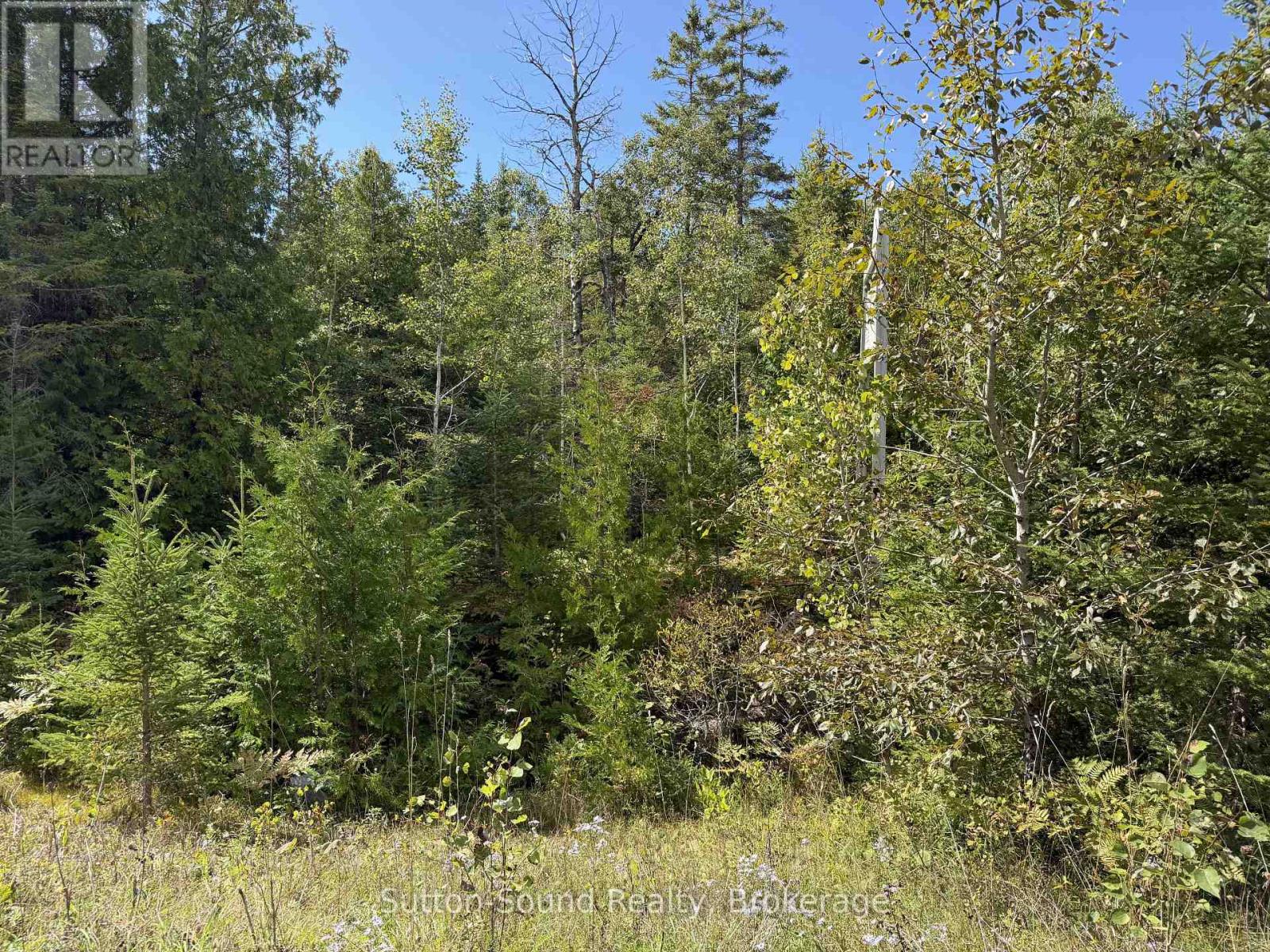 Pt Lt35 Con 3 Wbr Pt 77 Concession, Northern Bruce Peninsula, Ontario  N0H 1W0 - Photo 5 - X13019452