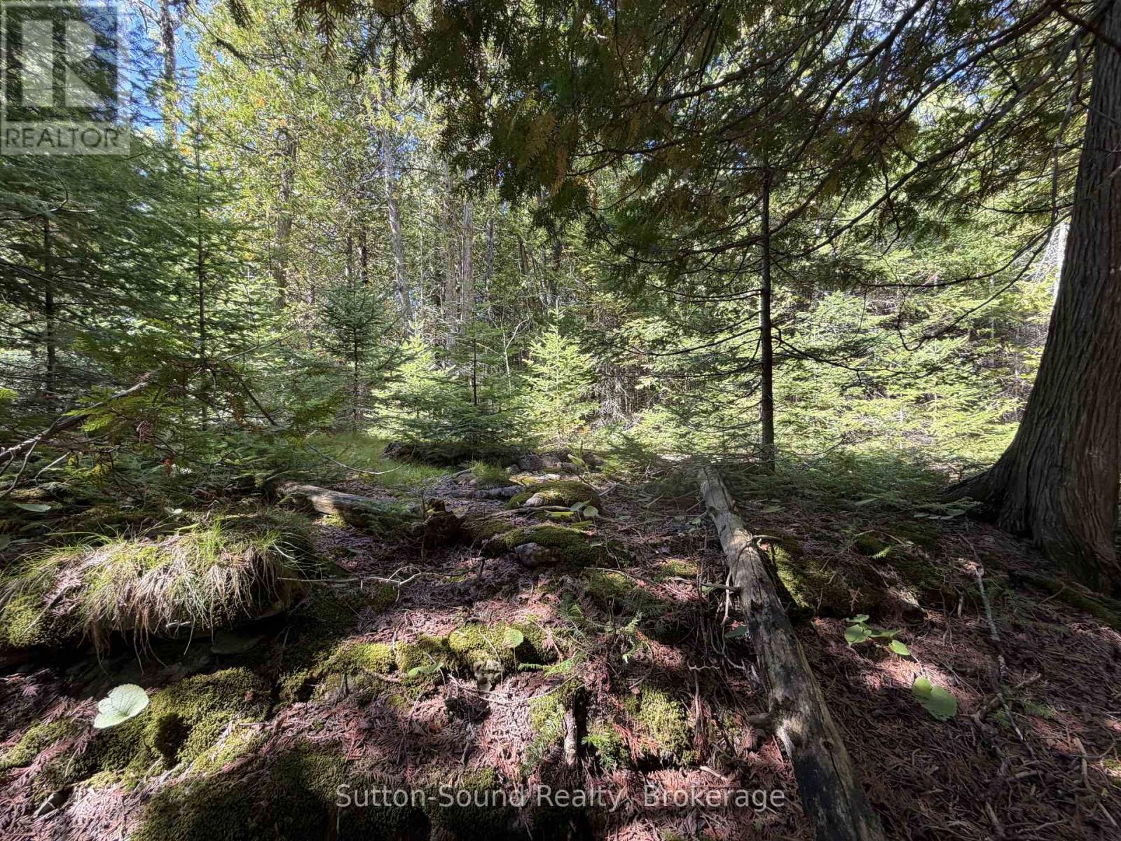 Pt Lt35 Con 3 Wbr Pt 77 Concession, Northern Bruce Peninsula, Ontario  N0H 1W0 - Photo 11 - X13019452