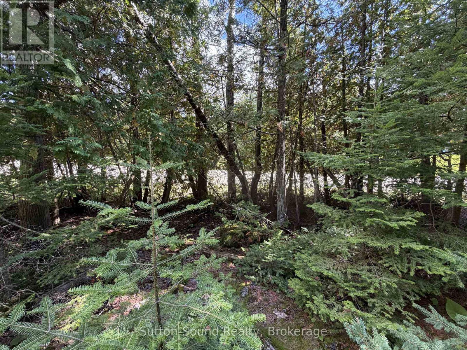 Pt Lt35 Con 3 Wbr Pt 77 Concession, Northern Bruce Peninsula, Ontario  N0H 1W0 - Photo 14 - X13019452