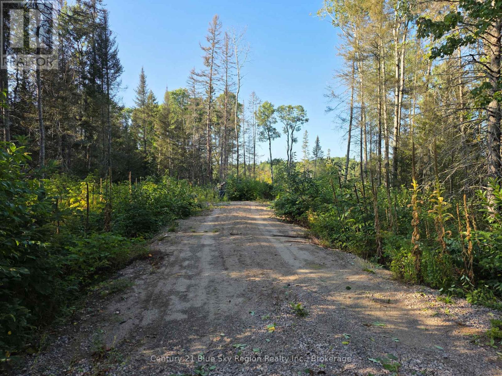 356 Hunt Line, Powassan, Ontario  P0H 1Z0 - Photo 2 - X13753824