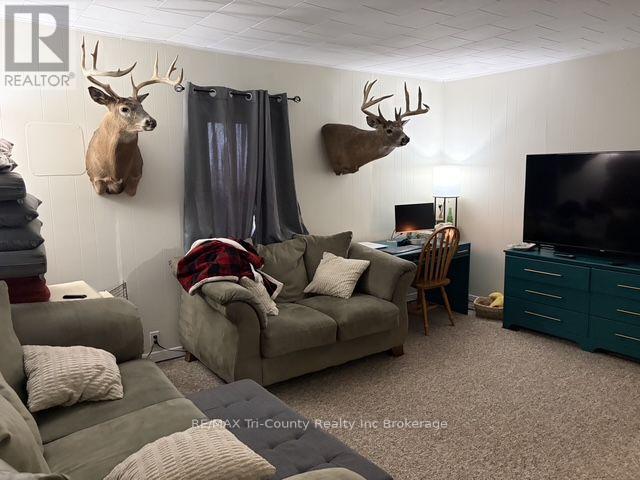163406 Brownsville Road, South-West Oxford, Ontario  N0L 1C0 - Photo 14 - X13792266
