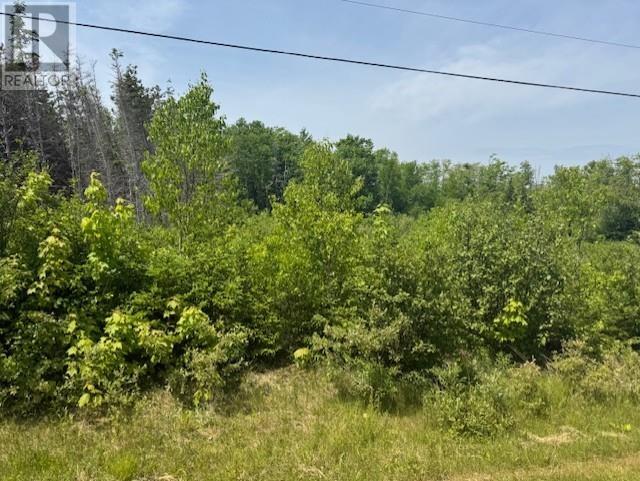 Lot 12 Westwood Lane, Emyvale, Prince Edward Island  C0A 1Y0 - Photo 12 - 202623506
