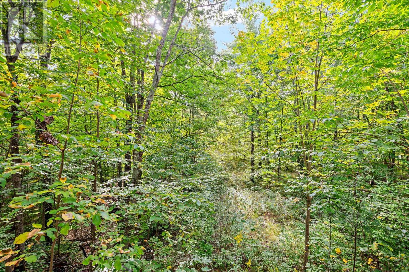 396 Dokken Road, Tay Valley, Ontario  K7H 3C9 - Photo 45 - X13792410