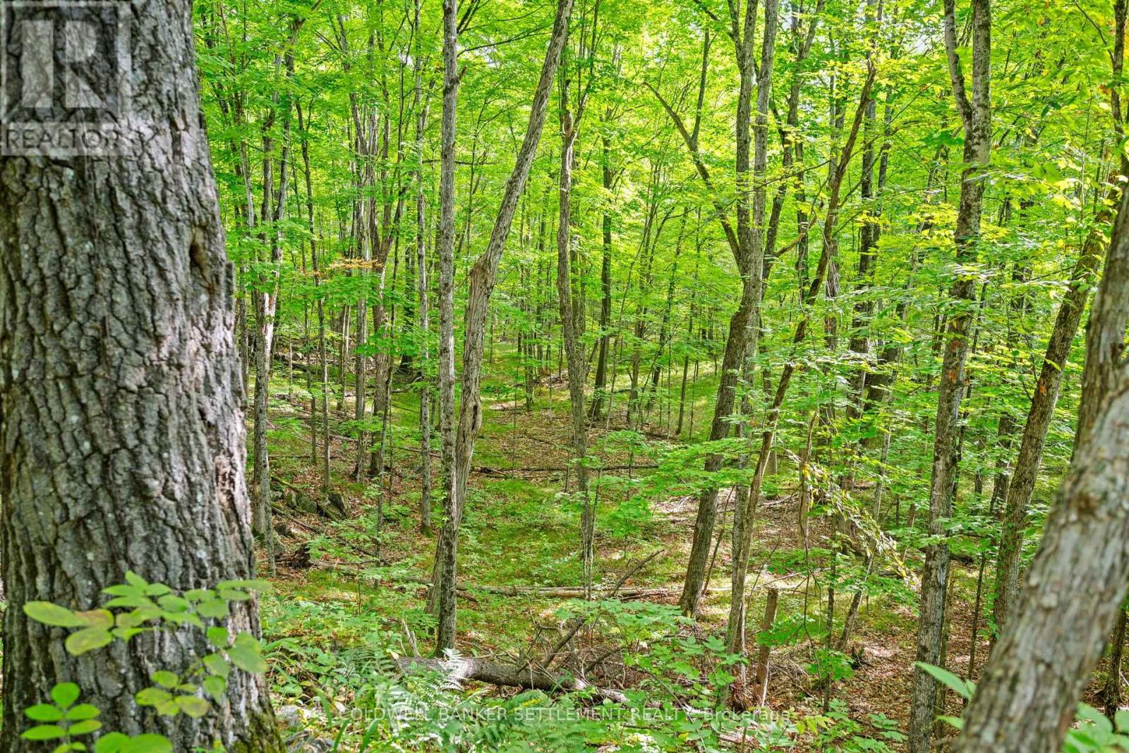 396 Dokken Road, Tay Valley, Ontario  K7H 3C9 - Photo 49 - X13792410