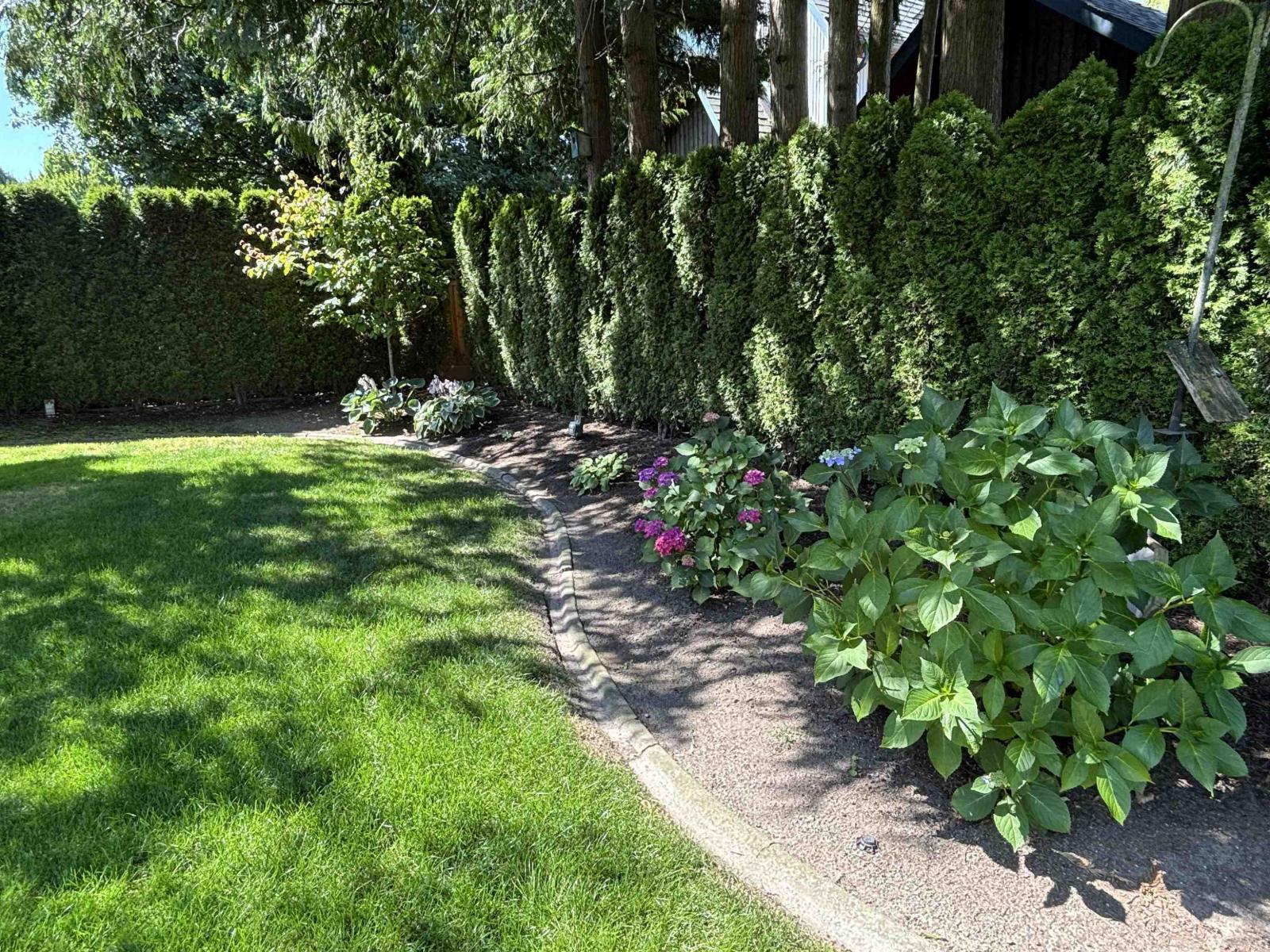 4577 217 Street, Langley, British Columbia  V3A 9B7 - Photo 6 - R3165484