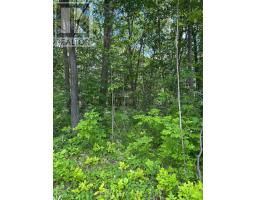 101, 102 AND 103 DINGMAN ROAD, Cramahe, Ontario