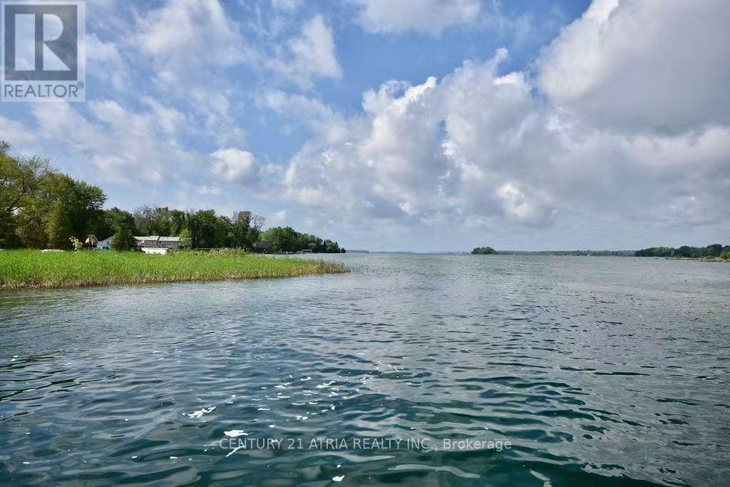 4359 Hepinstall Landing, Severn (Washago), Ontario  L0K 2B0 - Photo 19 - S13792768