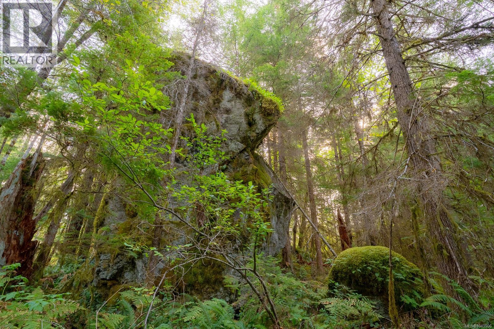 9600 Comox Trail, Port Alberni, British Columbia  V9Y 8N8 - Photo 51 - 1049906