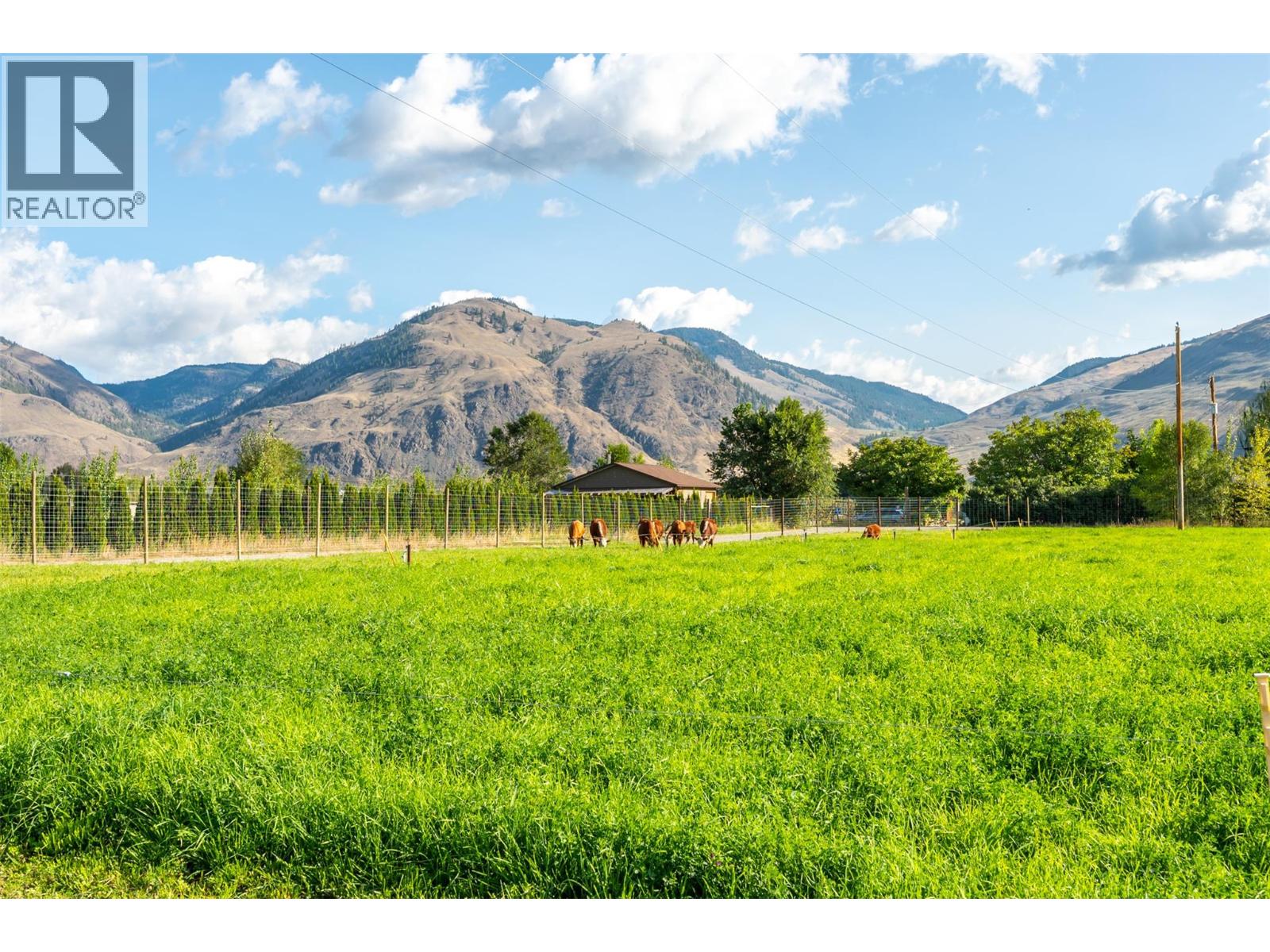 1969 Osprey Lane, Cawston, British Columbia  V0X 1C1 - Photo 6 - 10400832