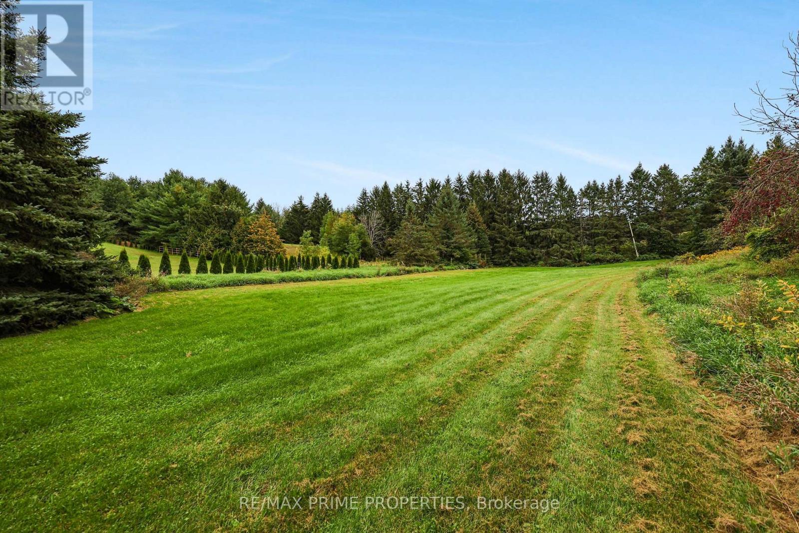 20369 Centre Street, East Gwillimbury, Ontario  L0G 1M0 - Photo 43 - N13793320