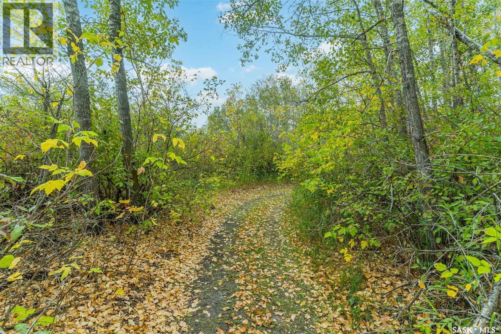 4.25 Acre Gruenthal Private Estate, Rosthern Rm No. 403, Saskatchewan  S0K 3R0 - Photo 64 - SK048392