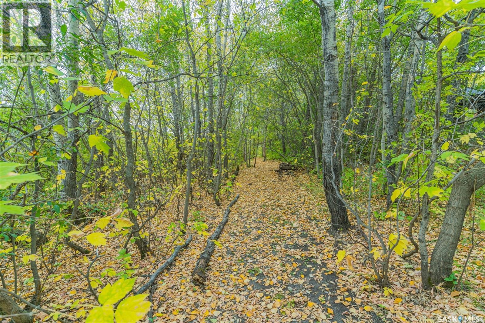 4.25 Acre Gruenthal Private Estate, Rosthern Rm No. 403, Saskatchewan  S0K 3R0 - Photo 66 - SK048392