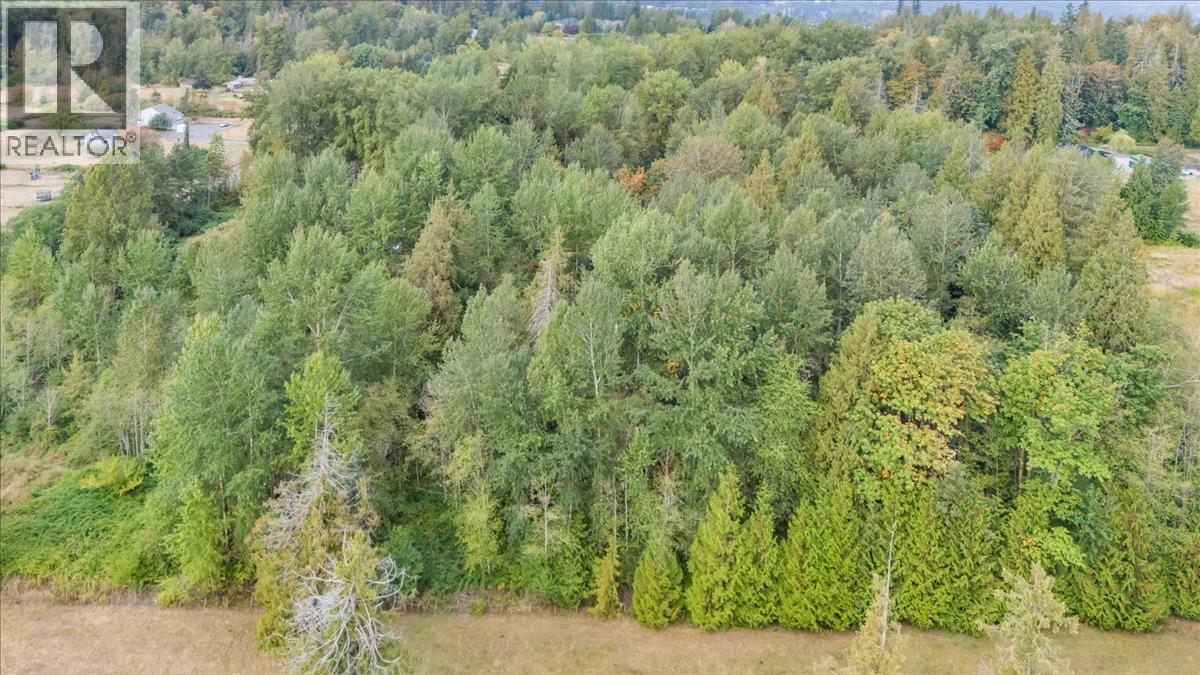 25181 100 Avenue, Maple Ridge, British Columbia  V2W 1S3 - Photo 5 - R3164768