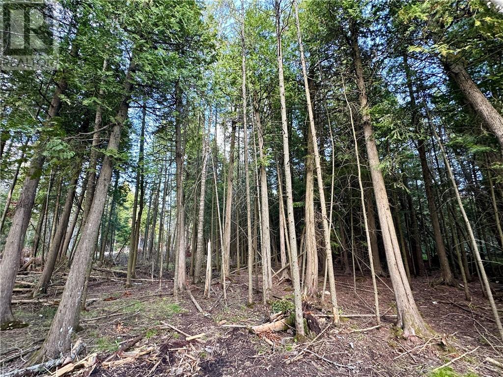 Pl4c2 Bidwell Road, Sheguiandah, Ontario  P0P 1N0 - Photo 17 - 2130393