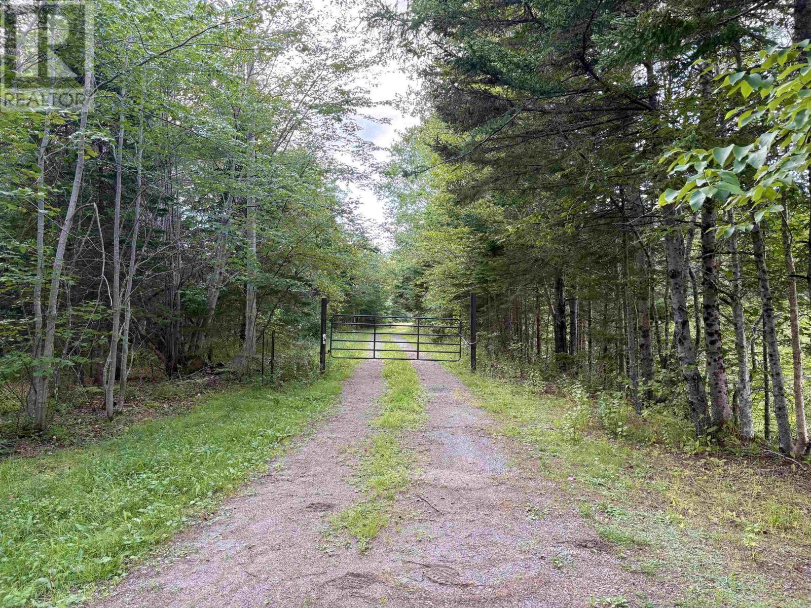 3999 Highway105, Glendale, Nova Scotia  B0E 3L0 - Photo 3 - 202623540