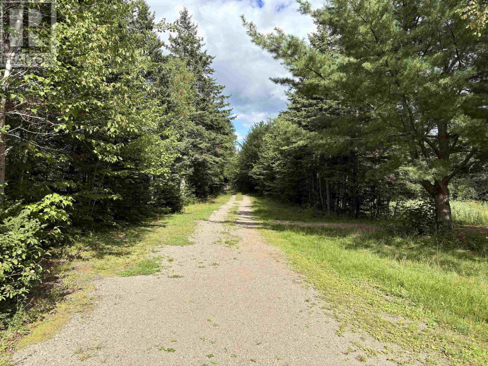 3999 Highway105, Glendale, Nova Scotia  B0E 3L0 - Photo 8 - 202623540